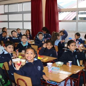 Día de la Actividad Física